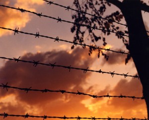 barbed wire sunset